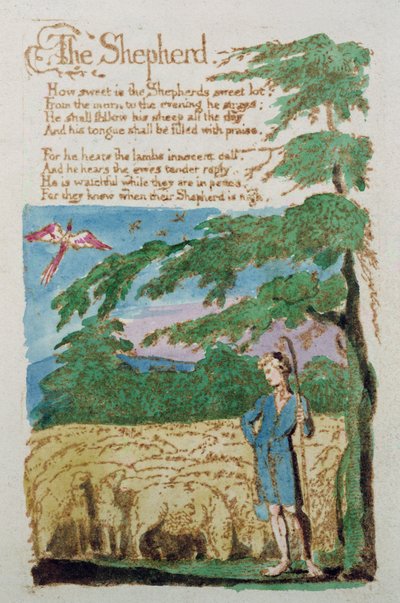 Der Hirte, aus Songs of Innocence, 1789 von William Blake